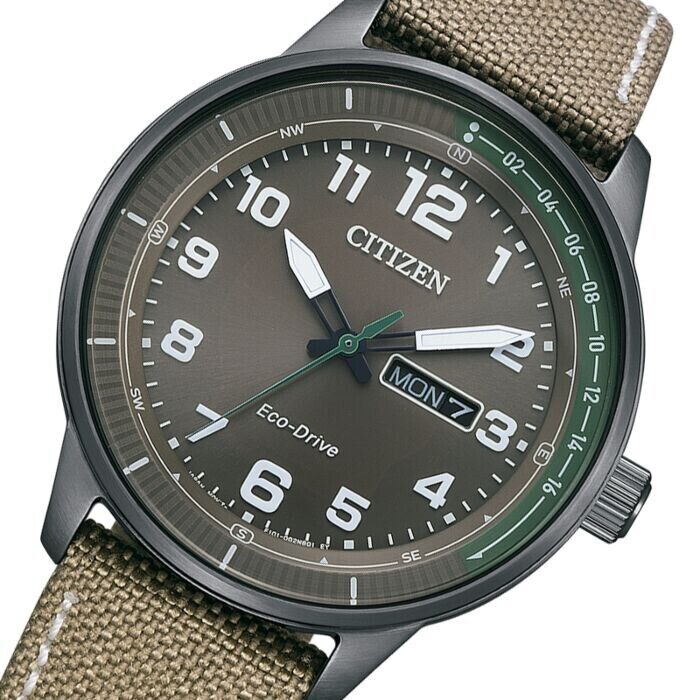 Citizen eco drive day date sale