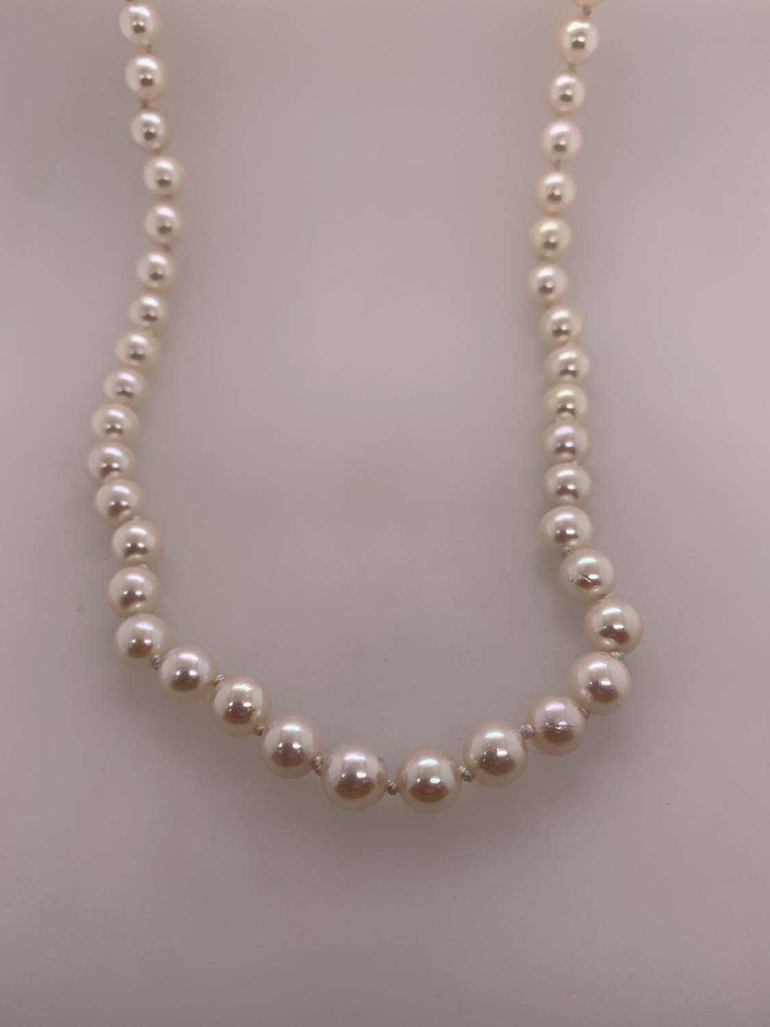 Akoya Cultured Pearl Necklace