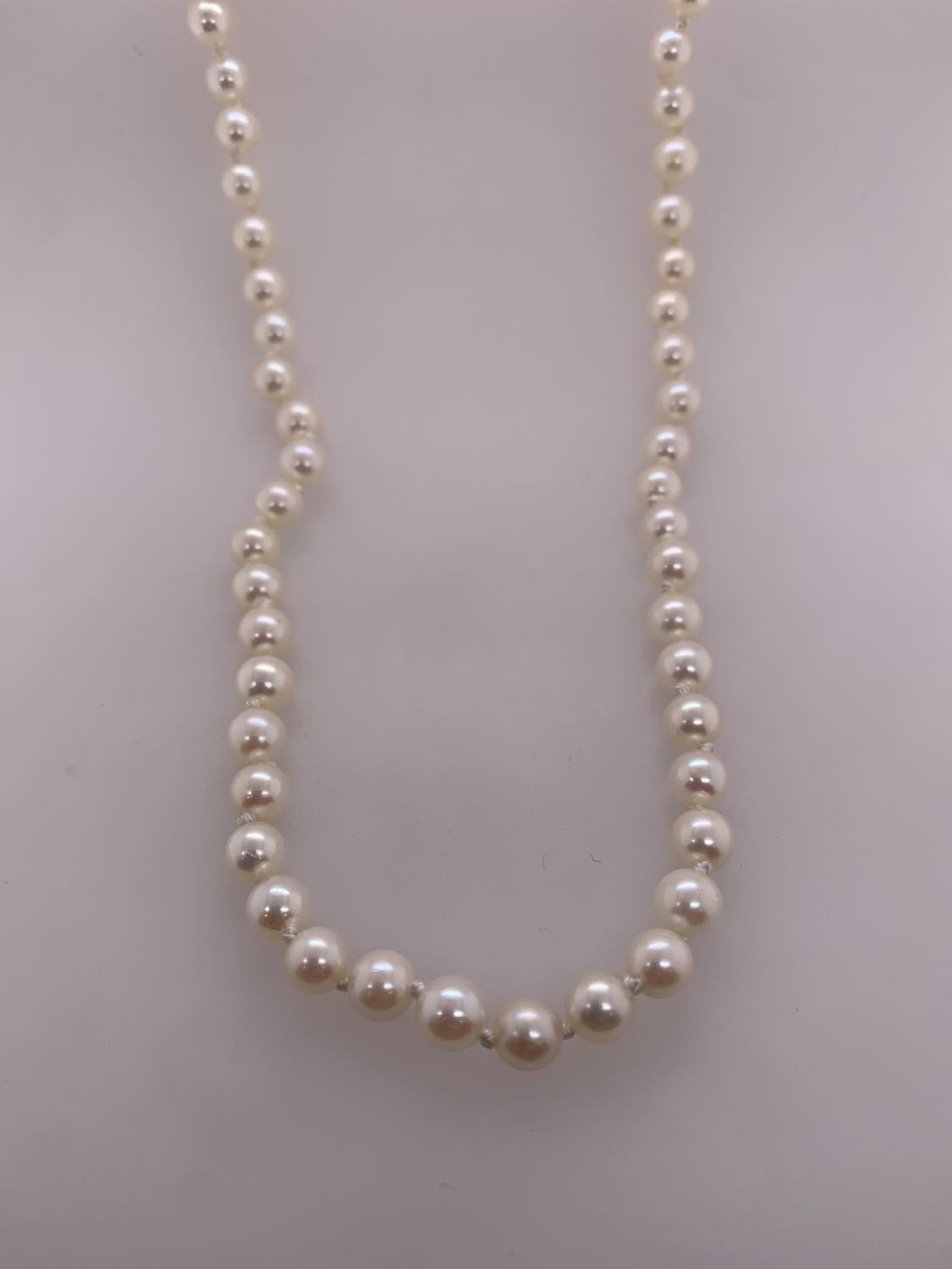 【HYERES LOR】25SS★ 14K(Y) Freshwater Pearl Necklace HYERES LOR】25SS☆ 14K(Y) Freshwater Pearl Necklace