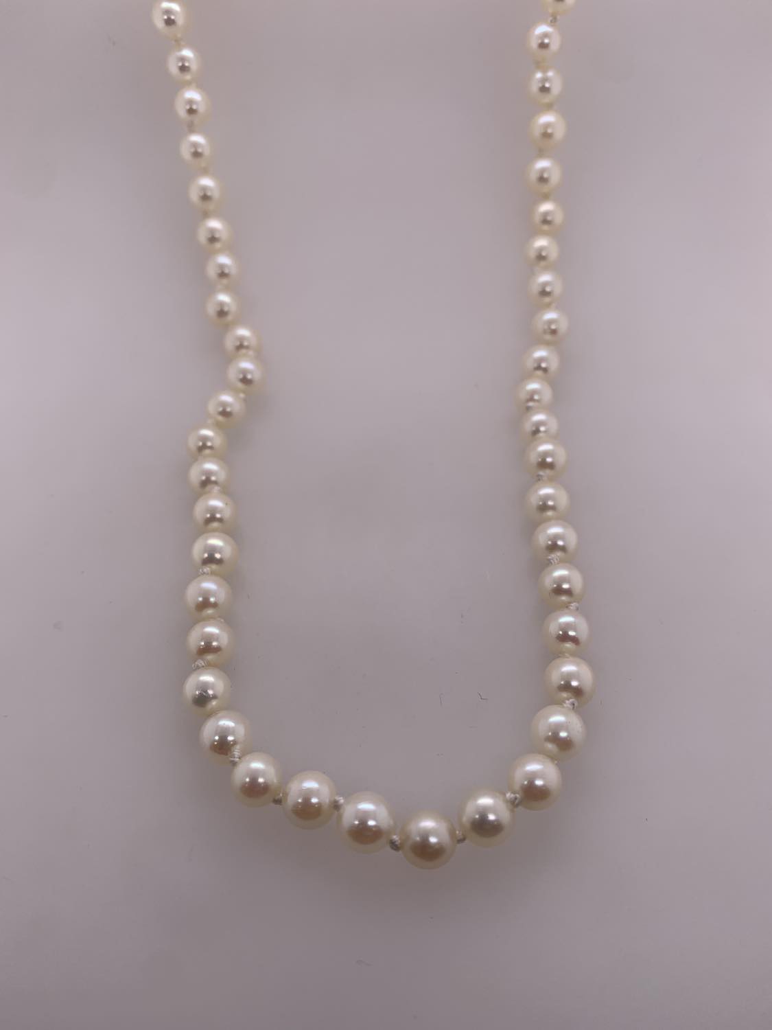 Akoya Cultured Pearl Necklace