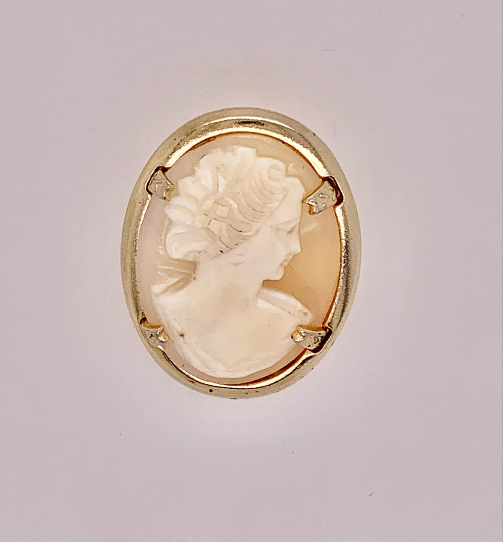 Vintage Fashion Cameo Brooch