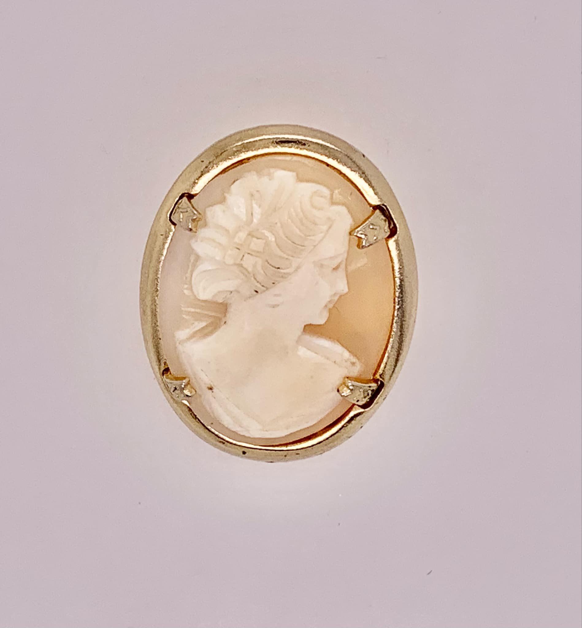 Vintage Fashion Cameo Brooch