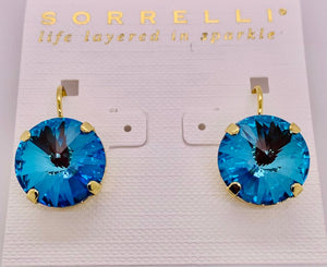 Radiant Round Dangle Earring