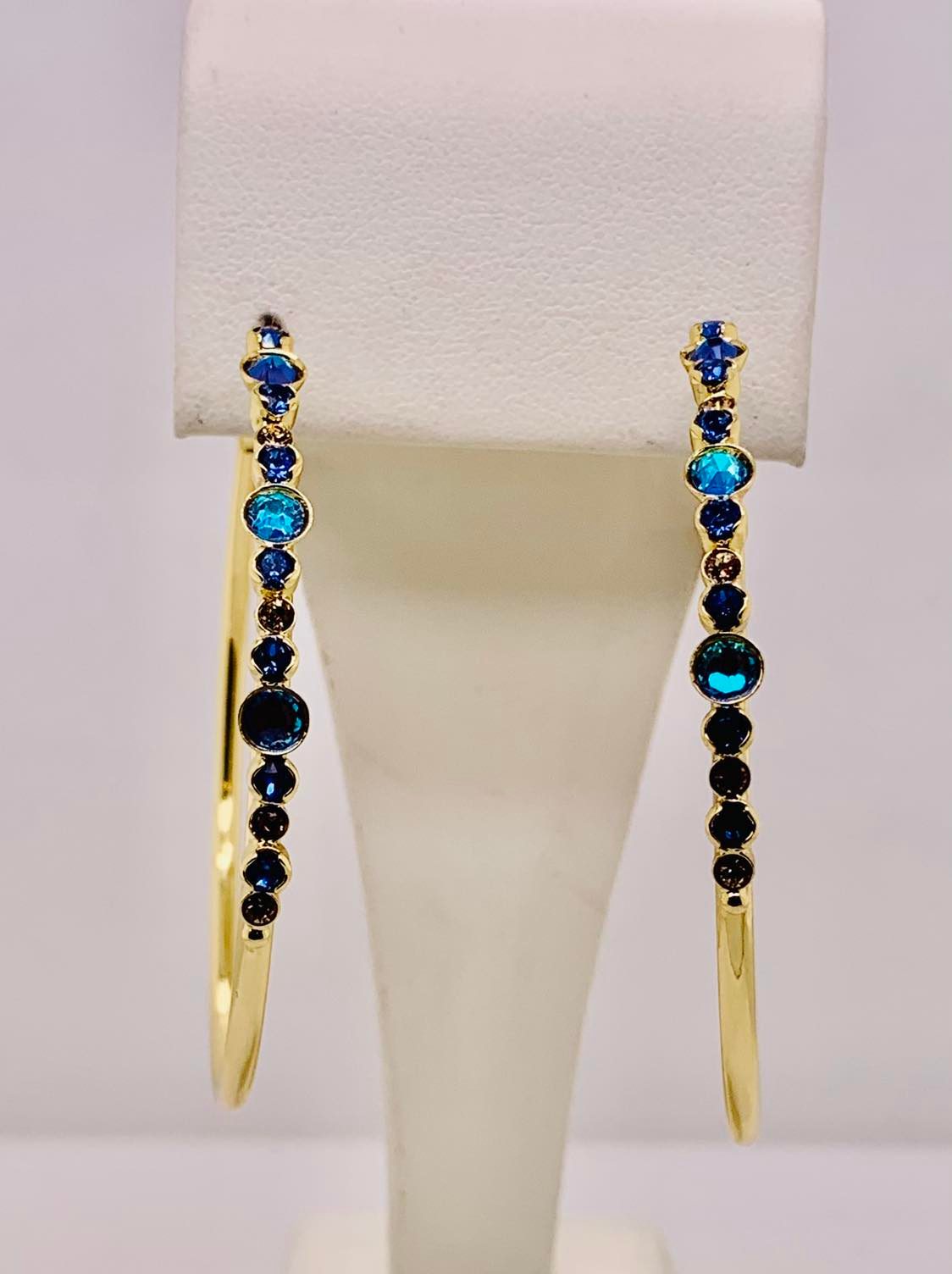 Hoopla Hoop Earrings