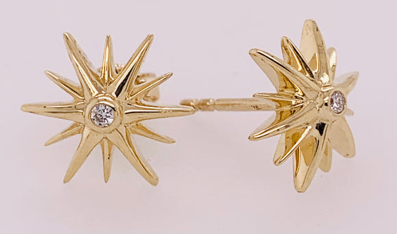 Diamond Earrings