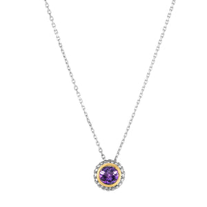 Phillip Gavriel Sterling/18K Amethyst Pendant